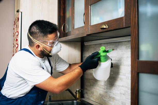 Best Emergency Pest Control  in Yaeyville, NC