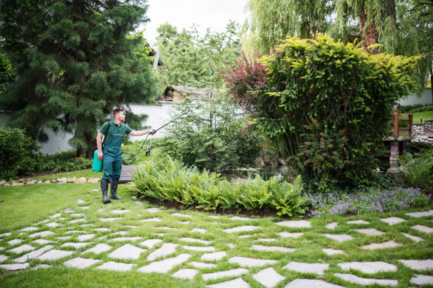 Best Best Pest Control Companies  in Yaeyville, NC