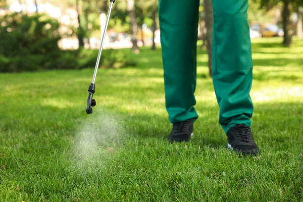 Best Best Pest Control Companies  in Yaeyville, NC