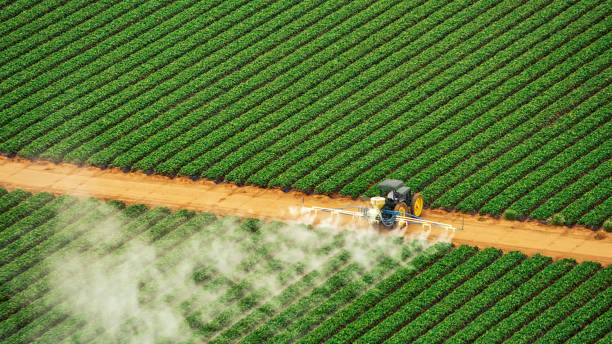 Best Best Pest Control Companies  in Yaeyville, NC